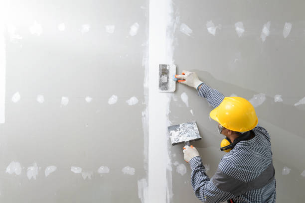 Best Mold Odor Removal Services  in USA